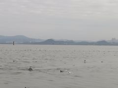 -深圳湾公园(南山区)