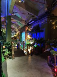 -恐龙探索乐园(磁器口店)