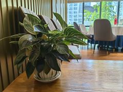 -锦庐道地川菜(来福士店)