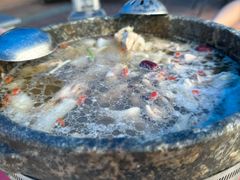 -墨脱石锅椰子鸡•香草鸭•东山羊(大东海店)