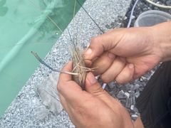 -DGE季风钓虾营地·团建·聚会