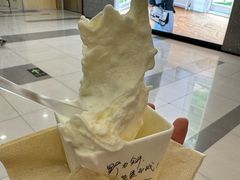 -野人先生Gelato(上海长宁龙之梦店)