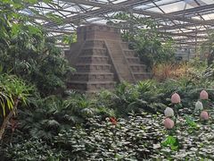 -南宫五洲植物乐园