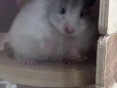 -英雄故事地摊烤肉(马驹桥店)