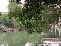 -小洲村