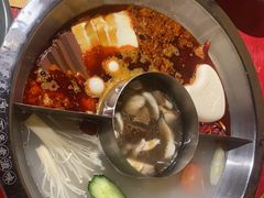 -谭鸭血老火锅(娄星区长青街店)