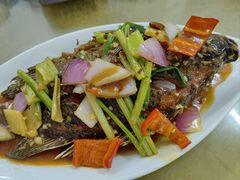 -琼海温泉鹅农家饭店