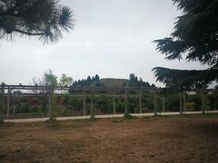 -茂陵博物馆