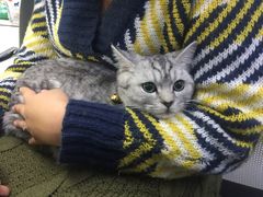 -宠颐生中康贝怡动物医院