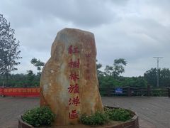 -东寨港红树林旅游区