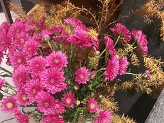 -旺顺阁·北京菜(北辰上品+)