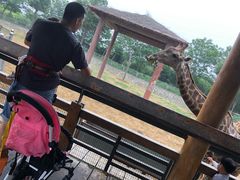 -石家庄市动物园