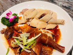 白切鸡拼豉油鸡-天喜酒楼饭市·茶市(同德皇宫店)