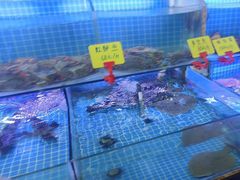 -鼓歌海鲜舫·手抓海鲜(大学城店)