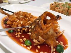 松鼠桂鱼-上海小南国(金桥国际广场店)