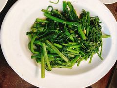 -绿光森林餐厅