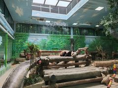 -灵玲国际马戏城