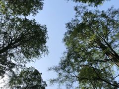 -渌洋湖湿地公园