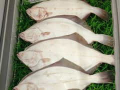 -王府酒店(兴华南街铁西百货店)