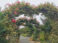 -东平国家森林公园