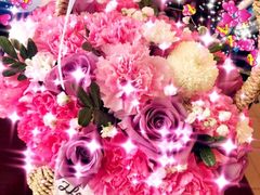 -鑫日千里马朝鲜族小馆(总店)