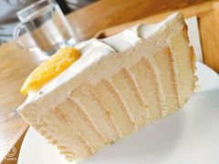 -LYFATTI 莱芙缇(赣水路店)