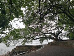 -抚仙湖禄充风景区