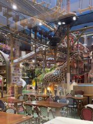 -卡通尼·Safari非洲探索乐园·生日会(金桥国际商业广场店)