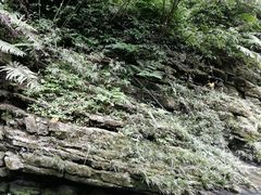 -武隆天坑地缝国家地质公园