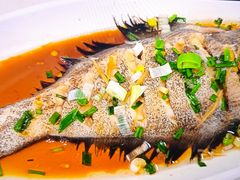 -威海渔村(黄兴路店)