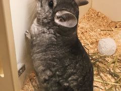 -龙猫仔乐园(惠福东路店)