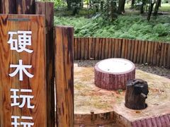 -南宁良凤江国家森林公园