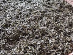 -谢师酒家