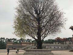 景点-广东圆玄道观