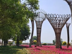 -武清南湖绿博园