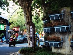 -胡记包子