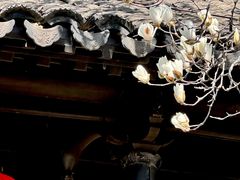 -黎里柳亚子纪念馆
