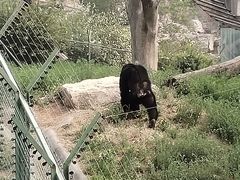 -石家庄市动物园