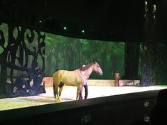 -cavalia·舞马