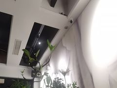 -Simple Yummy简单美味(上邦百汇城店)