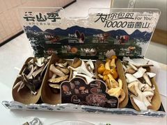 -芸山季·云南山珍菌火锅(南翔印象城MEGA店)