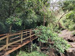 -广州白江湖森林公园