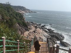 -广东惠东海龟国家级自然保护区