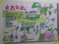 -上海昆虫博物馆