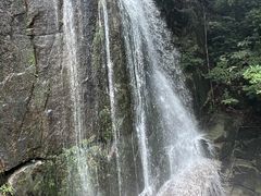 -大鄣山卧龙谷景区