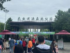 -黄海国家森林公园