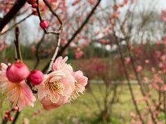 -蜀冈西峰生态公园