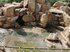 -西安秦岭野生动物园