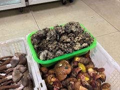 -双喜农庄·菌香园(安居家园店)