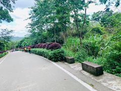 -清溪森林公园